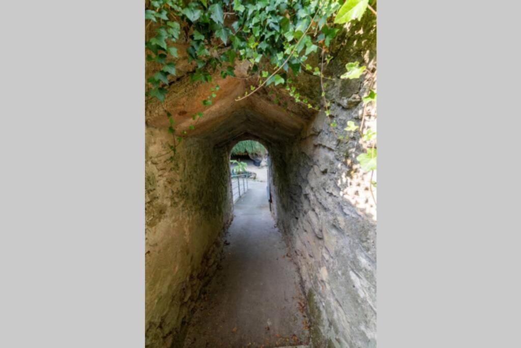 Maison Troglodytique Doue La Fontaine Екстер'єр фото